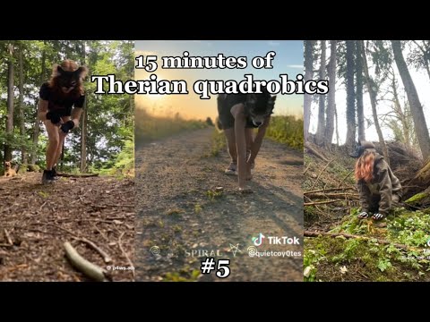 Therian Quadrobics Compilation 5 Youtube