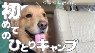 【犬とキャンプ】不安たっぷり初めての一匹でデイキャンプ！　【にこにこキャンプ】