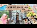 [VLOG] Cameron Highland | Cameron Centrum + Steamboat + Agro Market | Malaysia (aesthetic vlog)