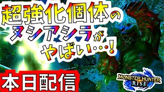 モンハンライズ//双剣初見討伐も、ワンパン地獄ヌシアオアシラの本気が地獄!!つええええ！！！配信イベクエ「ヌシアオアシラ重大事変」【MHRise/モンスターハンターライズ