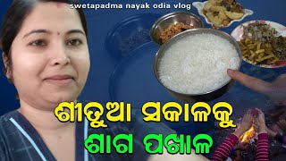 ଶୀତୁଆ ସକାଳକୁ ଶାଗ ପଖାଳ II swetapadma nayak odia vlog II