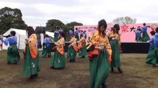 「早稲田大学　東京花火」かわさき楽大師2013　ステージ