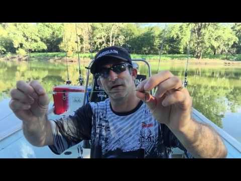 How to rig up to catch ALLIGATOR GAR. How to rig up to catch ALLIGATOR GAR.