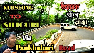 Kurseong To Siliguri||Via Pankhabari Road||Hair Pin Bend Road|| Most Dangerous & Adventurous Road|🚗🚗