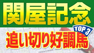 【関屋記念2022予想】追い切りが好調だった「トップ3」を公開🐴 一週前と最終追い切り、馬体映像から考察