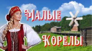 Малые Корелы. Деревни Поморья прошлых веков. Архангельская область.