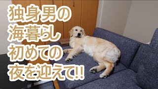 都会に住む独身男が田舎暮らしを始めて迎える初めての夜！ゴールデンレトリバーの子犬ティト。