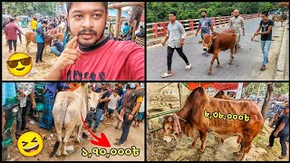 রাঙ্গুনিয়া গোডাউন কোরবানির গরু বাজার 🐃🐂🐄🐐