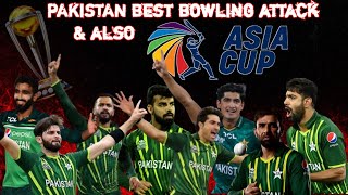 pakistan best bwling attack - The real squad for asia cup fight - MR Gamer- practice match