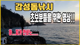 감성돔낚시할때 역광일땐 찌가안보이는데 낚시를 어떻게 할까?감성돔초보분들만 보세요