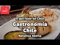 O que fazer no Chile: Gastronomia Chile - Natureza Aberta