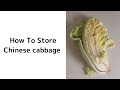 How To Store Chinese Cabbage 🥬 | Food Preservation | YUCa's Japanese Cooking #Shorts