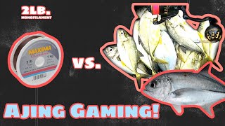 2Lb Nylon for Ajing Gaming vs. Big-Eye Trevally | Unli-Huli or Unli-Putol? Wharf Fishing