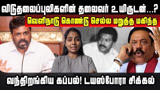 விடுதலைப்புலிகளின் தலைவர் உயிருடன்...? வெளிநாடு கொண்டு செல்ல மறுத்த மகிந்த | Srilanka Tamil News