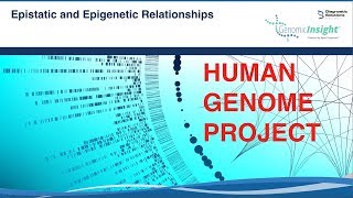 GenomicInsight - Epistatic and Epigenetic Relationships - Ch 3