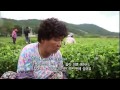 한국재발견 전남 나주 rediscovery of korea ep89 001