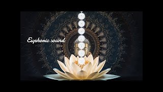 Tranquil Bliss: The Ideal Soundtrack for Focus and Calm