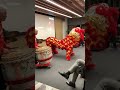 Glimpse of Chinese Lunar New Year Celebration #dragondance #chinesenewyear