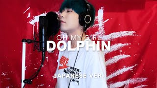 Dolphin / OH MY GIRL Japanese Lyric ver. ( cover by SG )