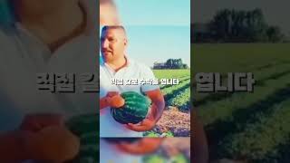 잘익은 수박을 골랐는데..#shorts