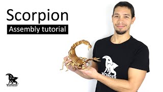 Hairy Desert Scorpion Tutorial | WONDER Artistic Models