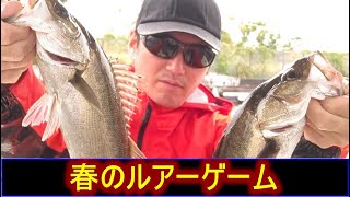 【浜名湖】悪天候の中、春シーバスを調査。結果は！？