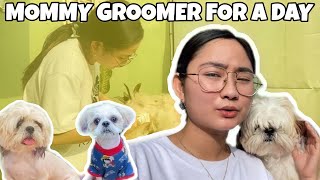 MOMMY GROOMER FOR A DAY! (Paano mag groom ng shihtzu., Round Face CUT)