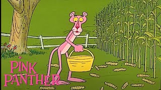 Pink Panther Grows Corn! | 35-Minute Compilation | Pink Panther Show