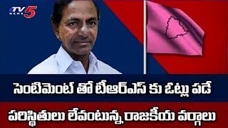 TRS's Political Sketch to Win in the 2019 TS Elections | #ElectionsWithTV5 | TV5 News