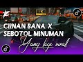 DJ CIINAN BANA X SEBOTOL MINUMAN - FULL BAS VIRALL TIKTOK