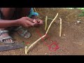 primitivetechnology amazing quick rabbit trap how to catch rabbit hunt tv