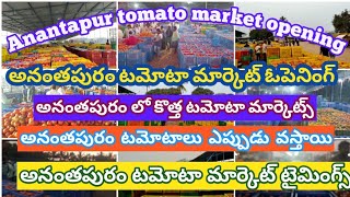 Anantapur tomato market opening/అనంతపురం టమోటా మార్కెట్ #Ananthapuram #Anantapuramtomatomarket