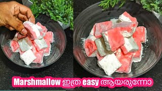 കുട്ടികളുടെ ഫേവറേറ്റ് ആയ marshmallows ഈസിയായി വീട്ടിൽ തയ്യാറാക്കാം #shorts #shirtvideo