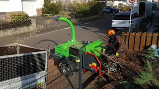 GreenMech Arborist 130 at work!🌳