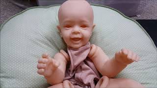 courts little lambs reborn nursery