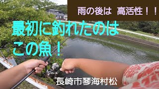 【長崎ルアーフィッシング】雨が降った後は高活性！最初に釣れたのはこの魚でした！トップ系ルアー（ポッパー）で 釣りまくる！！長崎市 村松／チニング