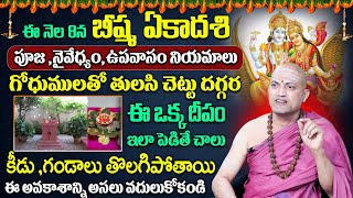 ఈ నెల 8న బీష్మ ఏకాదశి  Nandhi Batla About Bishma Ekadashi In Telugu SumanTV 2025