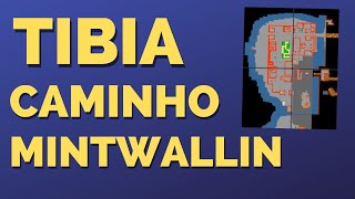 Caminho Mintwallin Tibia