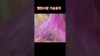 베트남 호치민 여행기(9) : 벤탄시장 기습공격