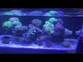 corals can become toxic using lanthanum as if it was calcium