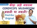 Cordyceps sinensis vs Cordyceps militaris | Keeda Jadi | Himalayan Gold | SK Sharma #cordyceps