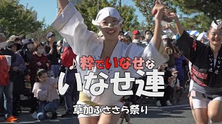 市民パレード会場で流し踊り「いなせ連」草加ふささら祭り - 阿波おどり（2023.10.22）