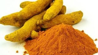 turmeric, benefits of turmeric, हळद एक आयुर्वेदिक वनस्पती, हळदीचे बहुगुणी उपयोग.