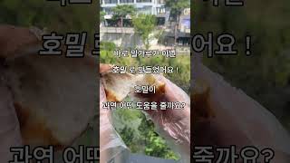 EP 2. 수준당 x 오 약사 [호밀로 만든 트라파니 소금빵] #shorts #건강빵 #건강 #약사 #bread #bakery #수준당 #청주빵집 #청주수준당