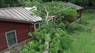 Nineveh teen rescued from beneath fallen tree