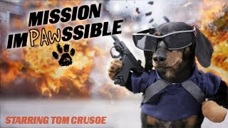 MISSION IMPAWSSIBLE - Funny Wiener Dog Action Movie!