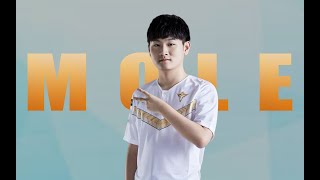 【Esports Encyclopedia】The First Player In LPL History Can Play All Five LANES