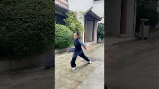 “一伸即变化，一缩即凝聚，是即太极。” 太极拳 国风古韵 国风合伙人 一见爱上传统文化 太极沅芷