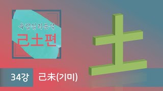 육갑심리분석 己土편 -  34강   己未(기미)