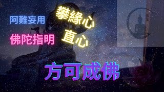 阿難用攀緣心，佛陀心知不直言｜楞嚴經｜楞嚴咒｜宣化上人